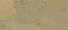Coral-brown